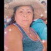 soylisne
