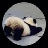 .nguyentantai