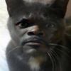 user_name_game_bod