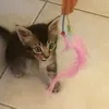 simbachadou