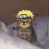 fsweggarik