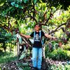 Andi Ibrahim