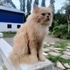 mr_oreo90