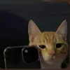 zeangelo_