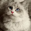 mee...aaa