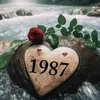 aqeel.noaman