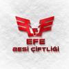 🇹🇷EFE BESİCİLİK🇹🇷