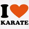 karate4678