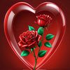 shahjee3773