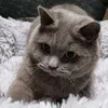 tonja1235