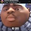 ni_gru1