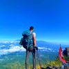 mas_tohir43