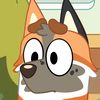 fennecfinds