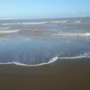 useru1t0z1folu