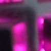 june_iw