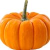 pumkin_is_orrange