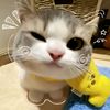 _butterscoth