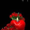 andgreyroses