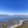 toesinthesea