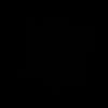 cyybries