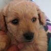 maite.tenorio1