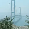 nikpsit