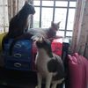 azizah.suparthy