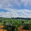 petani.kebunuser98