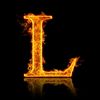 lisok15