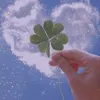 linh_le_luck..99