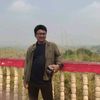 aung.ko.zin15