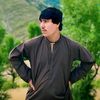 imalsalar302