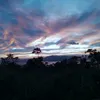 gian_agana