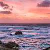 giovanna_123460