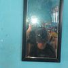 siregar.junior01