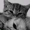 illwaitforyou25