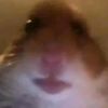 danielthegreat16
