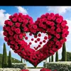 shahang.114