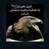 alwadei00