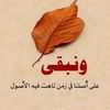 mohammedalsharif494