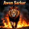 Awan sarkar