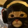 vinceling_fn