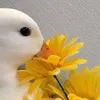 baaawaaah