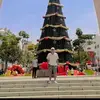 luisjerson2