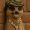 literated_thug