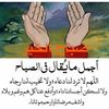 houriasawanorahmed