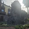 canariasireland