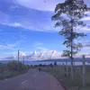 lia_012414