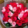 faizaahmed016