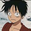 luffy_2940